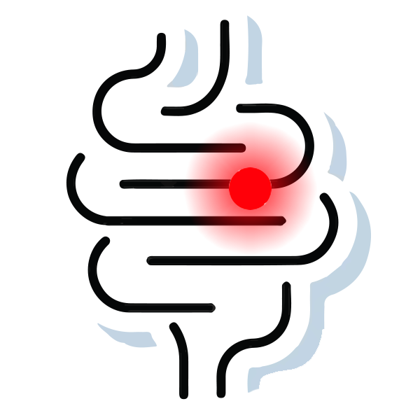 icon-intestino3